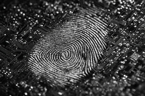 Translating Touch into Tangible Experiences: TITAN Haptics Empowers Haptic Design with Scientific Precision